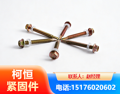 荆州六角钻尾丝